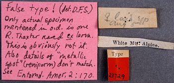 Media type: image;   Entomology 23729 Aspect: labels